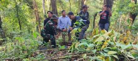 Penanaman Bibit Pohon Durian Di Zona Hutan Lindung Desa Sepang.